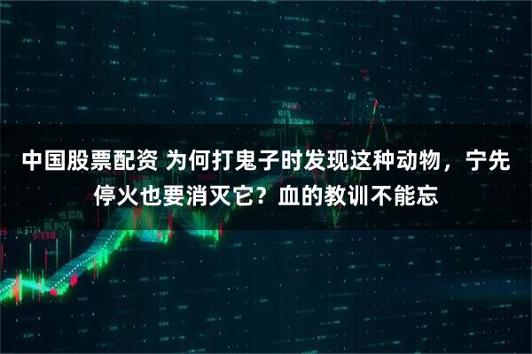 中国股票配资 为何打鬼子时发现这种动物，宁先停火也要消灭它？血的教训不能忘