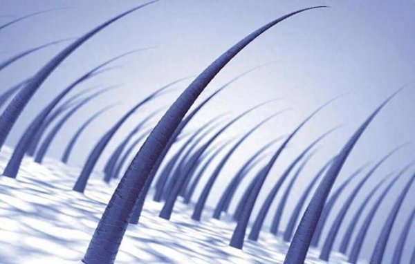 配资股票交易网站 科学家惊讶发现，人类头发的生长方式，与之前认为的不一样